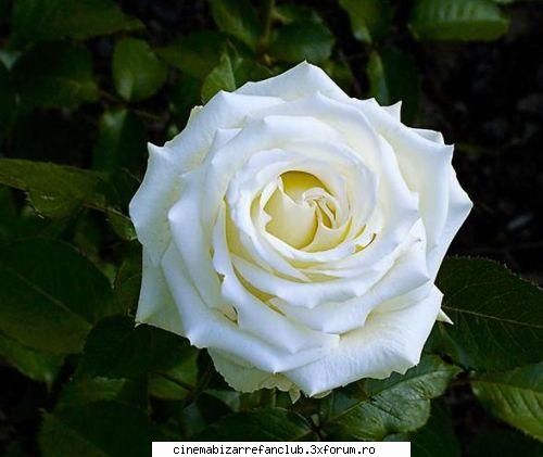 kiss spank lui mike &nbsp; ADMIN๋ �яєω *Ralu*