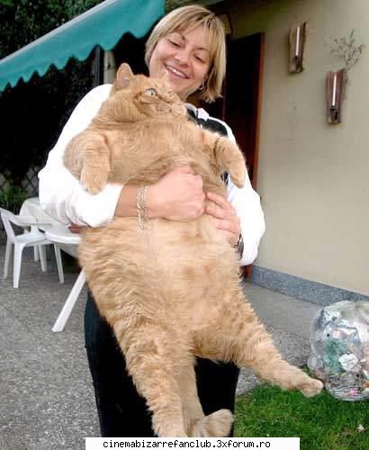 pozele favorite adooor poza&nbsp; &nbsp; &nbsp;