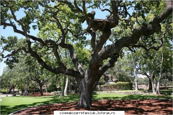 sala ati terminat, mike fost ingropat ink<:-p deci, alta posibila dovada faptului "lui, ADMIN๋ �яєω *Bella*