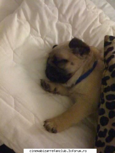 kiss spank yay kiss &nbsp; ADMIN๋ �яєω *Cathy*