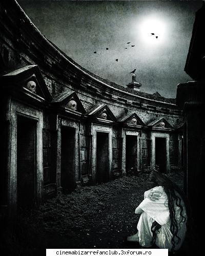 pozele favorite mijto picu ralu plashe picu asta ADMIN๋ �яєω *Alice*