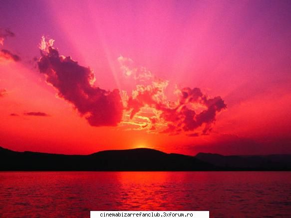 pozele favorite ralush, scris ala acolo? inteles numai thx for concerts keep misto poza alice stiu, ADMIN๋ �яєω *Bella*