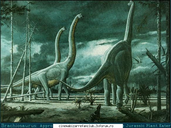 pozele favorite &nbsp; &nbsp; kate, vezi musca cred una dinoazur &nbsp; ADMIN๋ �яєω *Bella*