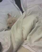 kiss spank ubita mea vedem zicetzi ADMIN๋ �яєω *Alice*