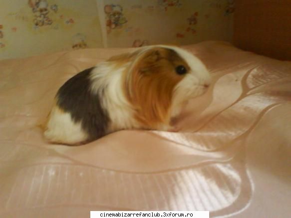 kiss spank lessiekiss poza lui kate ADMIN๋ �яєω *Bella*