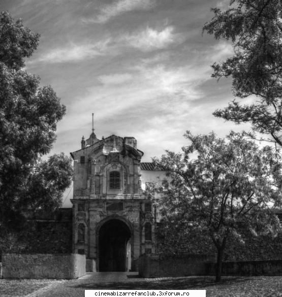 pozele favorite nush zic,parca reclama whyskey ADMIN๋ �яєω *Cathy*