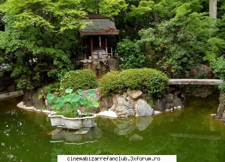 furtuna din mine iazul din gradina ADMIN๋ �яєω *Alice*