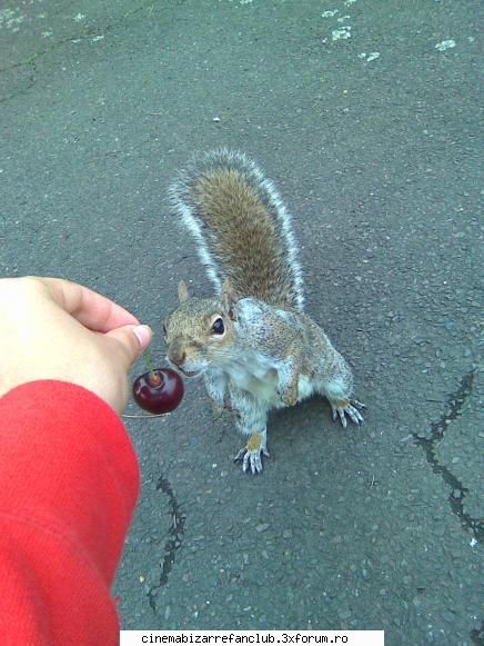 hot not? sots meu 8-> ADMIN๋ �яєω *Ralu*