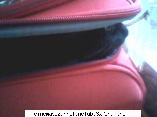 hot not? hot yummyperla ADMIN๋ �яєω *Bella*