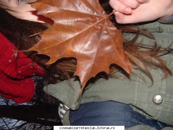 our stuff frunza se&nbsp; pune =p~? ADMIN๋ �яєω *Ralu*