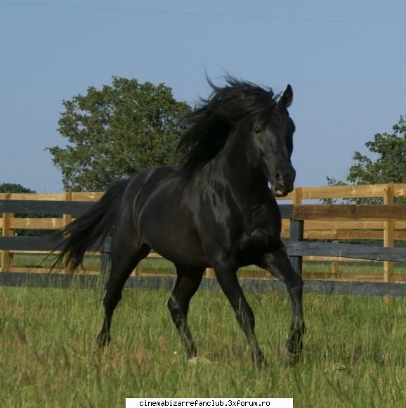 hot not? not ADMIN๋ �яєω *Bella*