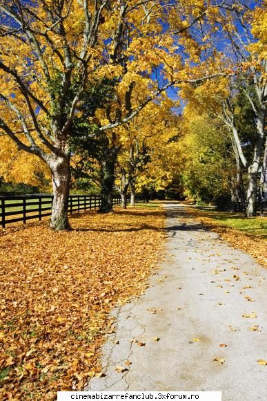 hot not? not ADMIN๋ �яєω *Cathy*