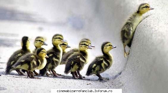 hot not? ador converse &nbsp; &nbsp; life ๋�ADMIN๋�