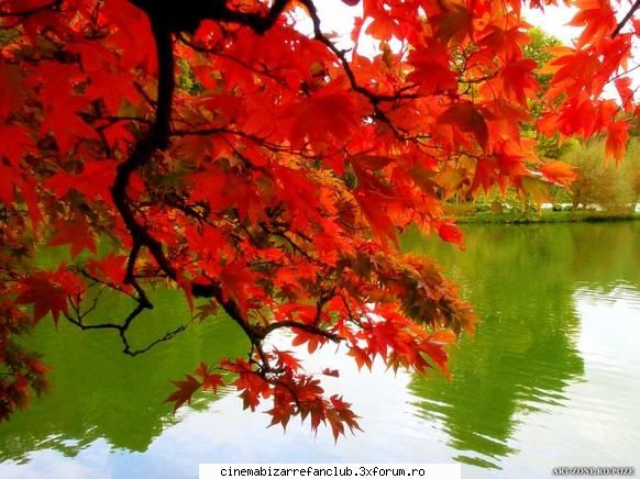 cuvinte asociate stati uitat cuvantul: mi-a venit minte)