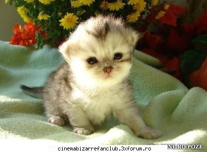 gandesti akm gandesc lucruri momentul asat draguta