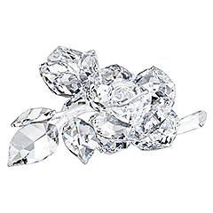 pozele favorite asta! ADMIN๋ �яєω *Bella*