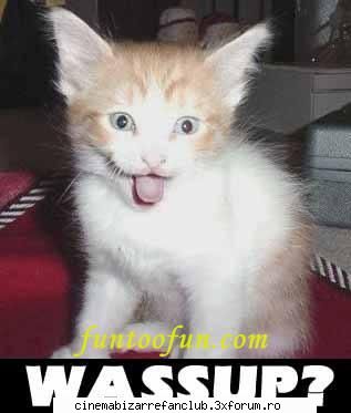 motto bucur iti place! &nbsp; &nbsp; &nbsp; &nbsp; asta l-am folosit azi cand avut ore psihopata ADMIN๋ �яєω *Bella*