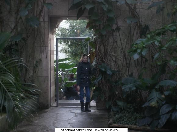 bella-my person s-a salvat! fine!asta din germania sper salveze ADMIN๋ �яєω *Bella*