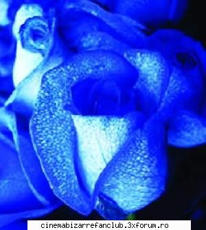 albastru ramas fara uimit data asta &nbsp; &nbsp; &nbsp; &nbsp; &nbsp; ADMIN๋ �яєω *Alice*