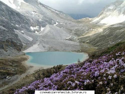 ador! &nbsp; specail ADMIN๋ �яєω *Bella*