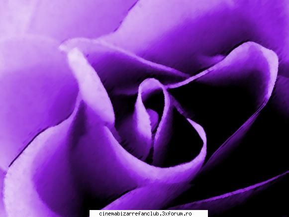 numaram ADMIN๋ �яєω *Alice*