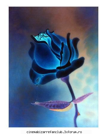 albastru luv tot greselile vedem maine ADMIN๋ �яєω *Alice*