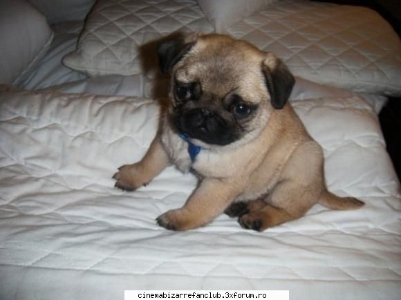 yu`s uite dulce &nbsp; &nbsp; ADMIN๋ �яєω *Cathy*