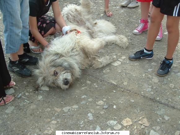 th`oamne  ada poti sa  stergi u poza  asat  cat de  cretina pot  sa  fiu va  virusez   forumul cu