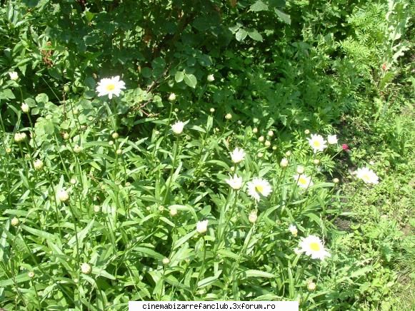 wtf&nbsp; scz&nbsp; gresit poza&nbsp; &nbsp;la bn&nbsp; vad ora asta&nbsp; .... ADMIN๋ �яєω *Ralu*