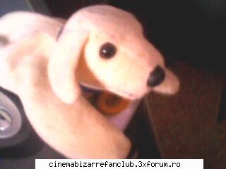 our rooms catelul care sta unitatea centrala dea pisica mea ADMIN๋ �яєω *Bella*