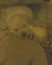 hot not? hot ADMIN๋ �яєω *Alice*