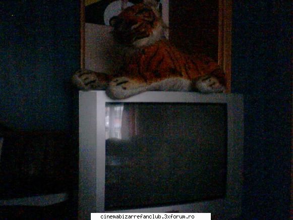 our rooms momentan doar asta ADMIN๋ �яєω *Cathy*