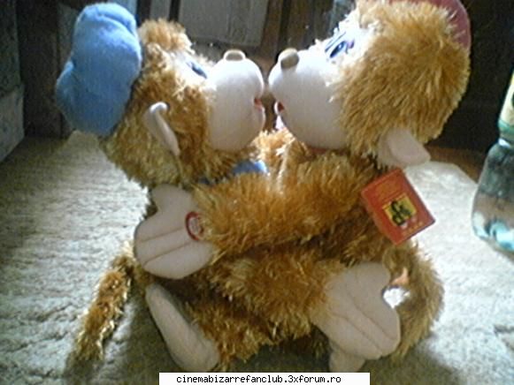 our rooms revin poze..yo kiro &nbsp; &nbsp; glm,doua maimute ADMIN๋ �яєω *Cathy*