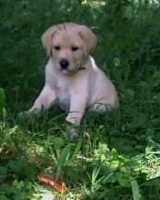 pozele favorite aici postatzi pozele voastre orice fel...cu voi,cu trupa etc.amea asta ADMIN๋ �яєω *Alice*