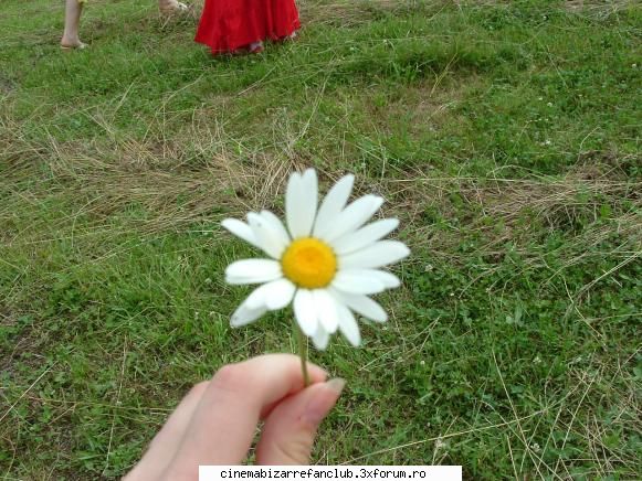 Me :X - si floricica mea :X - � Pictures with us �