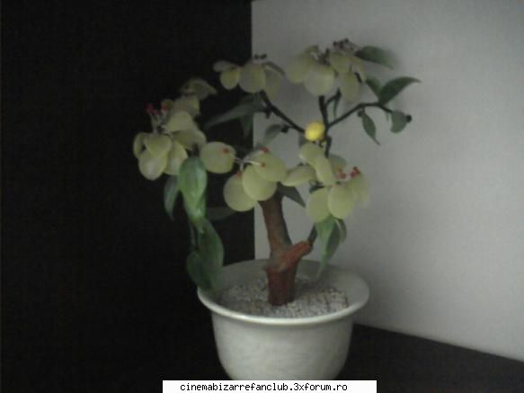 Our rooms - floricica mea..din ceramica - � Willkommen �