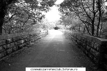 Pozele favorite - �..Love�Is�Dead..� - � Willkommen �