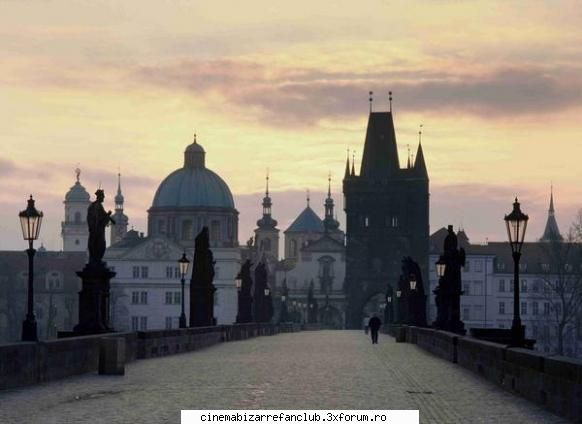 Trandafirul albastru - love pov tea next - � Fan Fiction Archive �