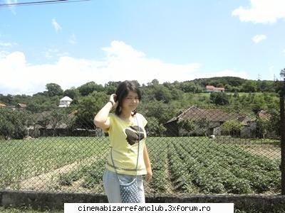 ZiZ' - Verde - � Pictures with us �