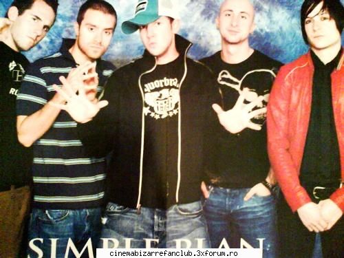 21. simple plan *my
